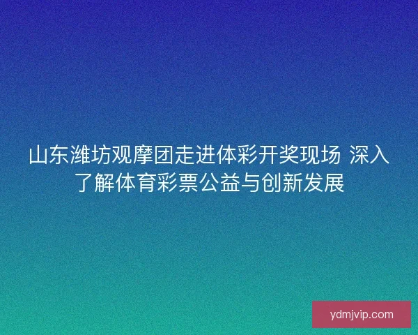 山东潍坊观摩团走进体彩开奖现场 深入了解体育彩票公益与创新发展 山东潍坊观摩团走进体彩开奖现场 深入了解体育彩票公益与创新发展